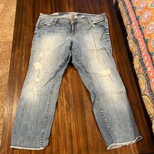 Torrid Boyfriend Ankle carpris/distressed